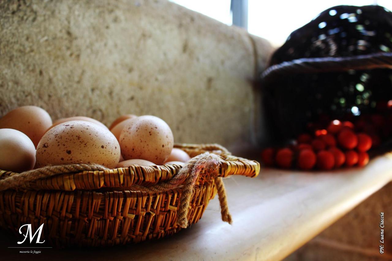 Masseria La Foggia Fasano Ngoại thất bức ảnh